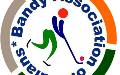 FOCUS ON DEVELOPMENT – WHEN FIB VISITS BANDY INDIA!